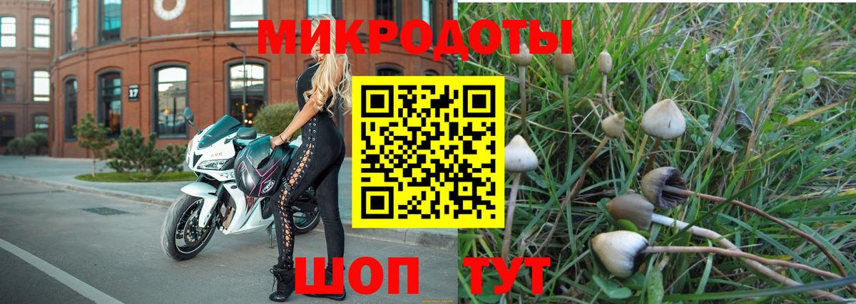 Галлюциногенные грибы прущие грибы  Галлюциногенные грибы MAGIC MUSHROOMS  Среднеуральск  Вход с VPN 