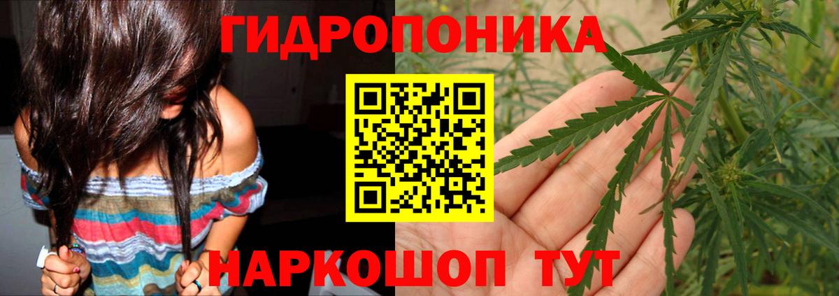 Конопля сатива Среднеуральск